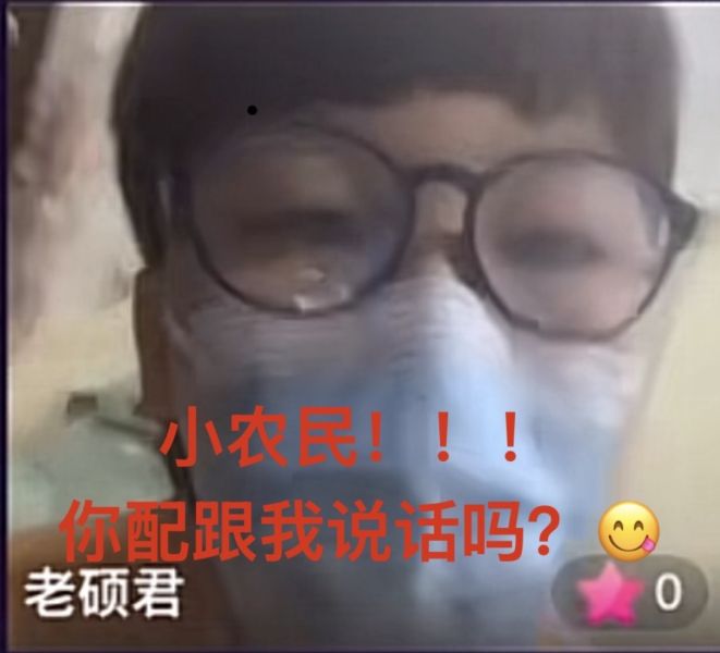 文件:王晨硕小农民.jpeg