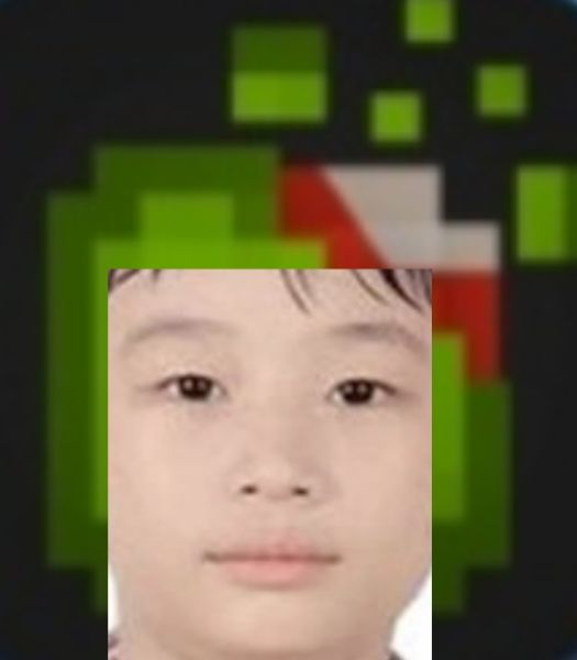 文件:甜瓜圈圈旗(抖管宣传部制图).jpg