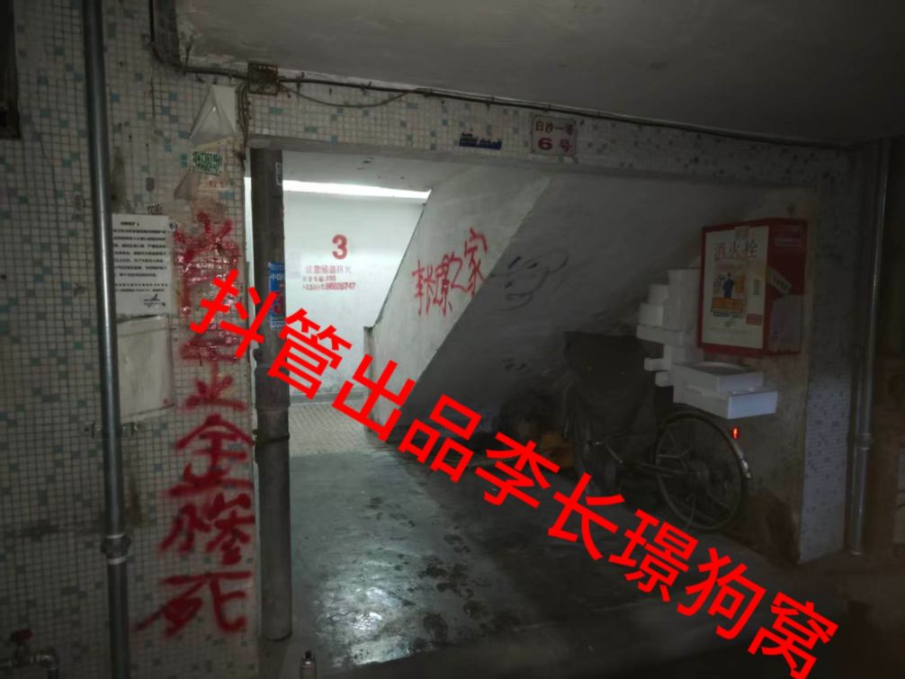 中偏左