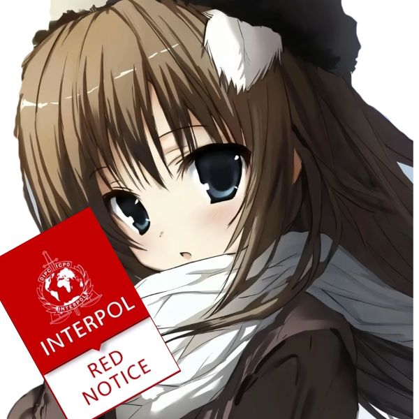 文件:红通.jpeg
